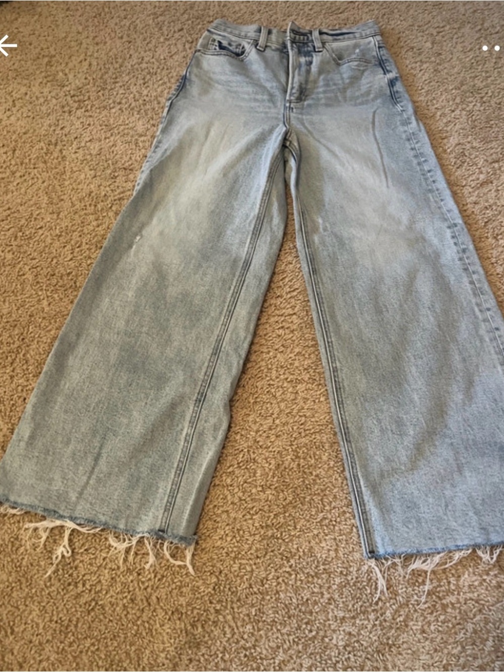 pistola Light Wash Wide Leg Jeans with Frayed Hem